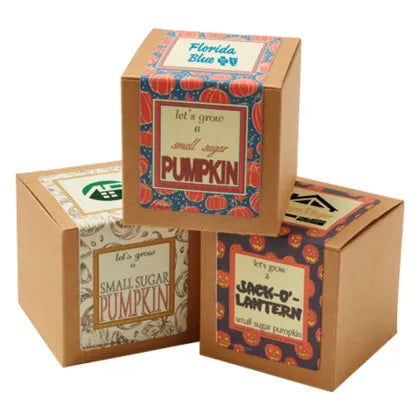 Small Sugar Pumpkin Growables Planter in Kraft Gift Box