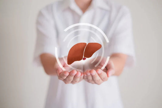 4 Ways to Improve Liver Health