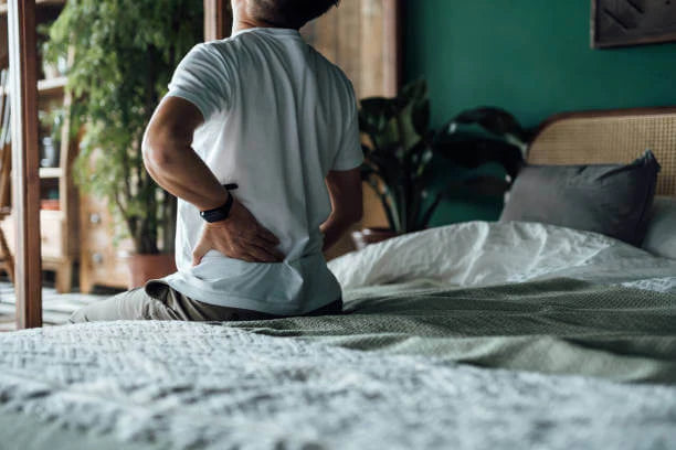 Top Supplements for Back Pain: Natural Relief for Inflammation and Discomfort